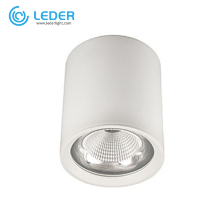 Led Downlight