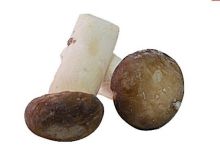 Delicious Frozen Abalone Mushrooms / Brc Iqf Forzen Vegetables With 18 Months Shelf Life