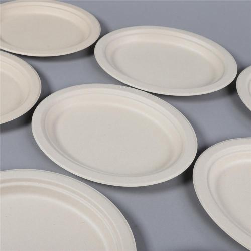 Disposable Biodegradable Plates Sugarcane Bagasse Paper Pulp Mould 6 inch Plates