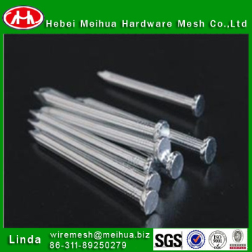 Competitive Carbon Steel common Nail