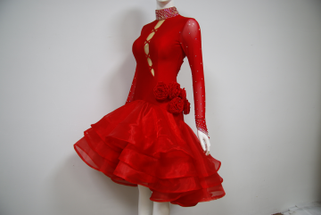 Women costume for ballroom dancing