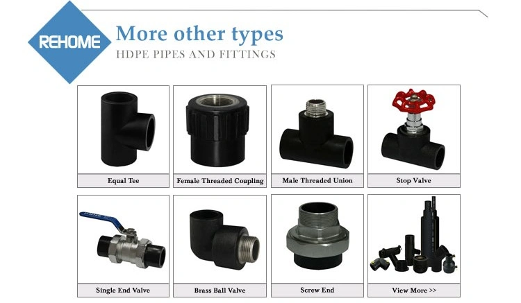 OEM Black Color 32mm 40mm 63mm HDPE/PE Plastic Coupling for Water Supply