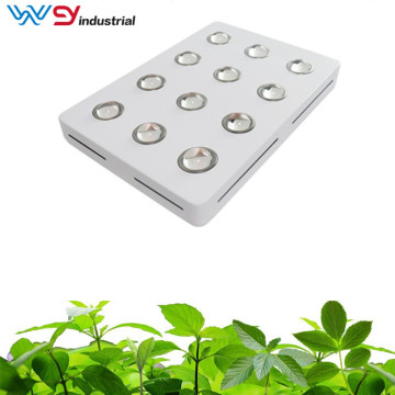 Best cob grow lights 1800w 2020