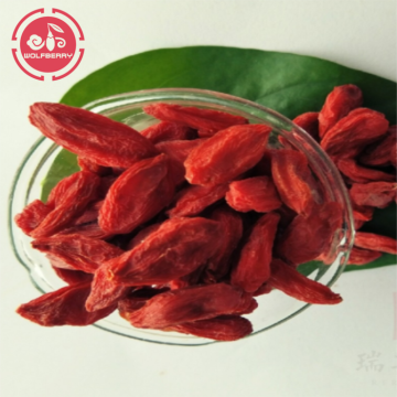 Medicinal Certified healthy Low pesticide Goji Berries