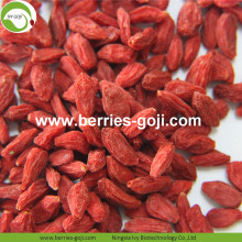 Perdere peso secco naturale sano Tibet Goji