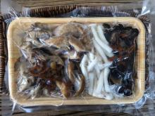 Soup base with assorted mushoom-214G