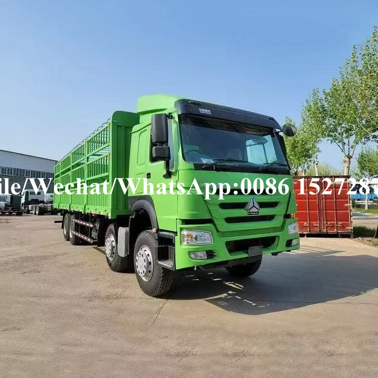 Howo Cargo Truck (9) HOWO cargo truck (9)