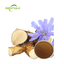 Chicory Extract 90% Inulin