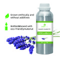 100% minyak esensial lavender murni dan alami berkualitas tinggi minyak esensial bluk untuk pembeli global harga terbaik