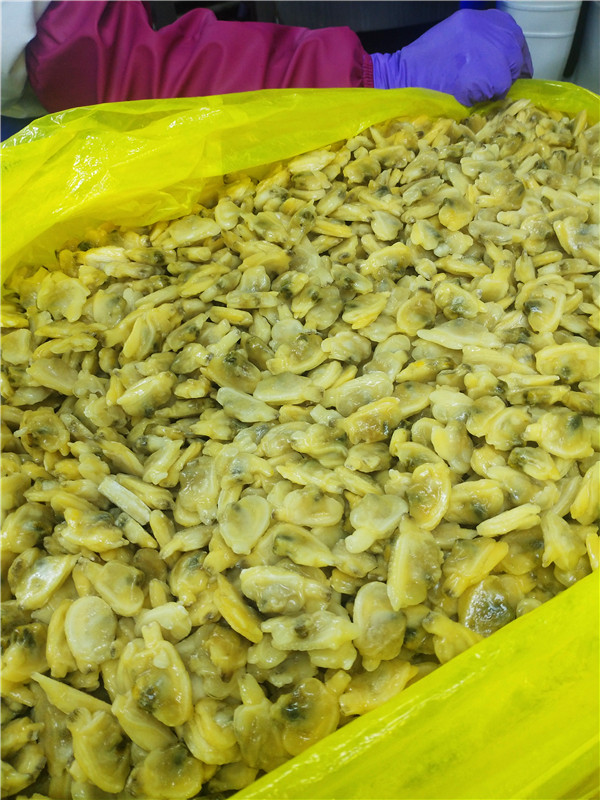 Zamrożone gotowane mięso małże z krótkim szyją w konkurencyjnej cenie