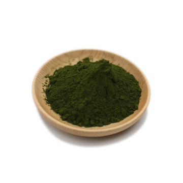 Chlorella prášek z organického zdroje