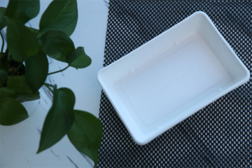 Disposable Packaging Paper Box