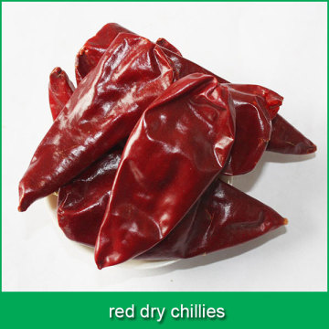 red dry chillies