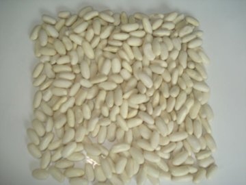 Chinese white kidney beans