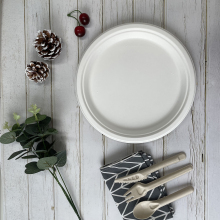 dinner plate sugarcane disposable plates degradable dish