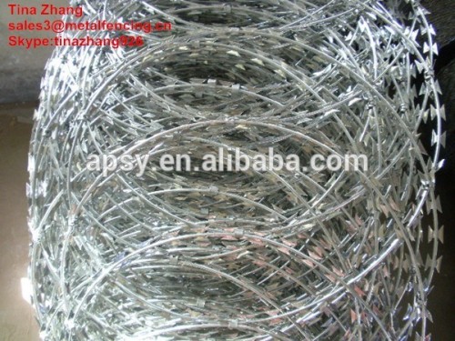 Concertina Razor Barbed Wire fence/ razor wire fence/low price concertina razor barbed wire