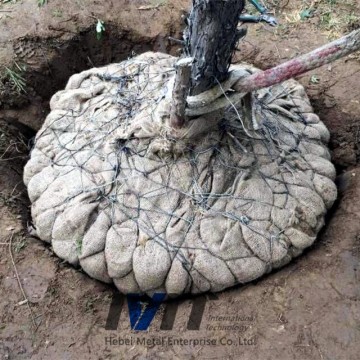 Wire Tree Baskets for nursery