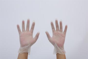 Disposable transparent protective gloves