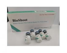 Rabies Vaccine After Dog Bite