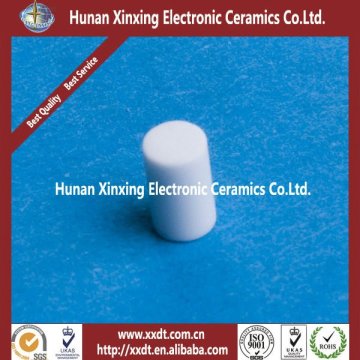 Precision Ceramic Locating Pin