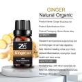 Ginger Oil Hair Growth Essential Oil For Hair Loss