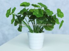 mini bonsai, artificial plants, green plants