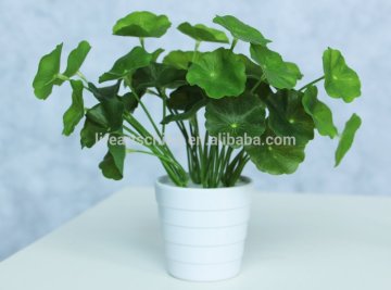 mini bonsai, artificial plants, green plants