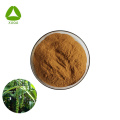 Saúde masculina Água Natural Solúvel Kava Kava Extrato