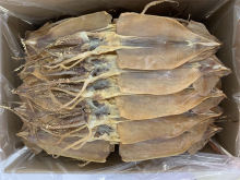 Dried seafood dried squid pure