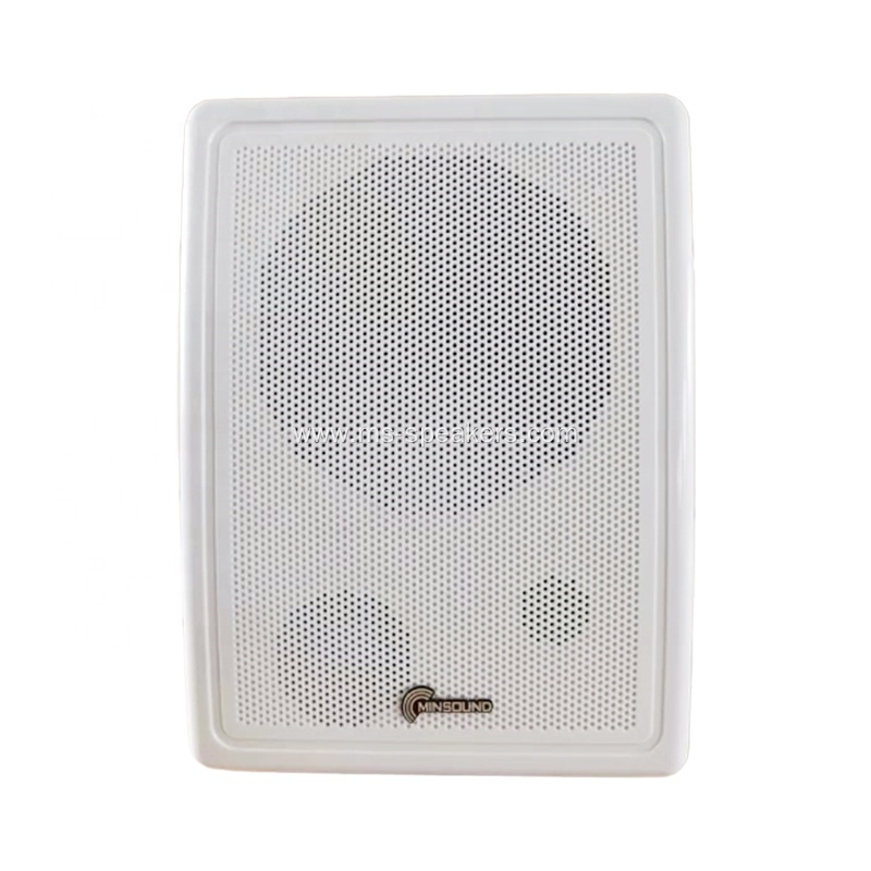 PA System Wall Mounted Loudspeaker With Good Sound