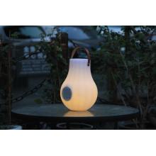 OEM Portable Speaker Lamp with Wine cooler