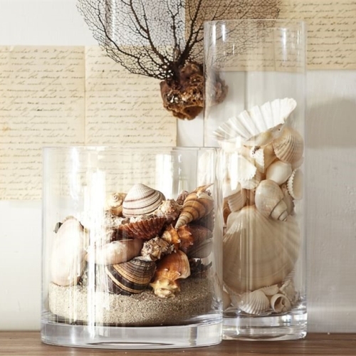 Mode Gift natuurlijke Seashell Craft met veelkleurige