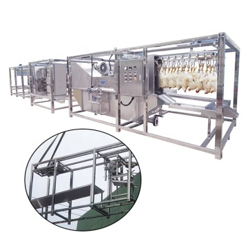High Quality Broiler Defeathering Machine - Poultry Processing Equipment