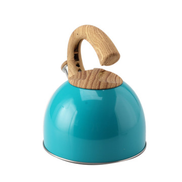 Color painting Stainless steel whistling kettle