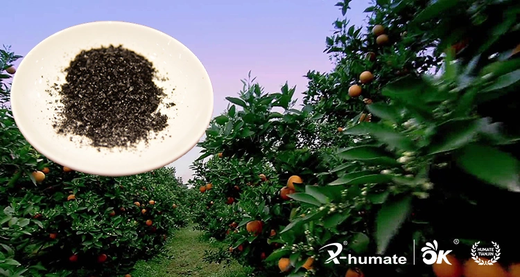 X-Humate Leonardite Foliar Fertilizer Humic Acid Potassium Humate Flake 98%