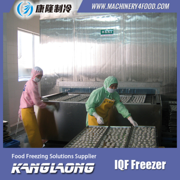 Large Capacity Clam IQF Instant Freezer