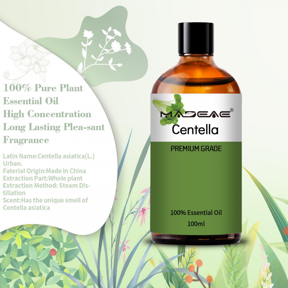 Centella esencial Extracto de aceite orgánico Natural para el cuidado de la piel Masaje corporal Aromaterapia