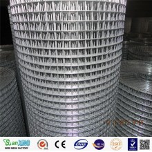 Welded Wire Mesh Galvanized Welded Wire Mesh Roll