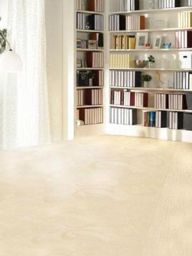 BJD Pink Book Room Photography Settings y1276 Doll