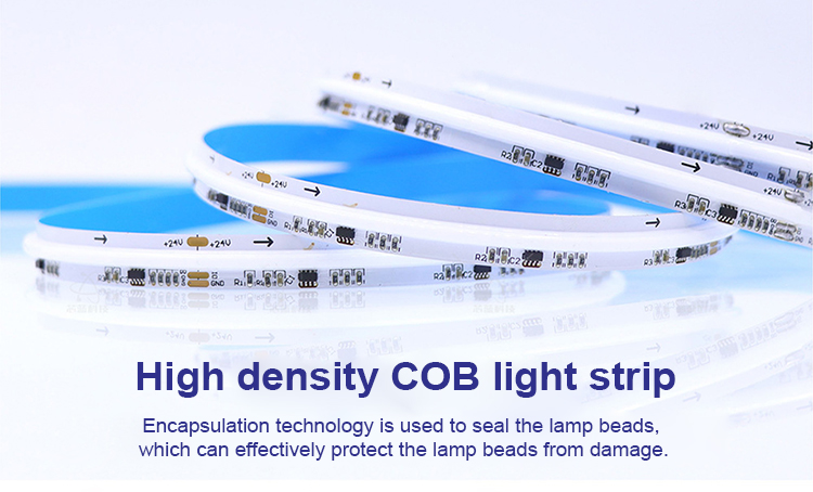Dream Colour WS2811 Cob Rgb Running Led Strip Remote Control 240chips/m Smart Rgbic Led Strip Light Rgb Light For Decoration