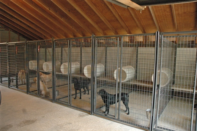 Custom Heavy Duty Strong Large Breed Dog Boarding Kennel