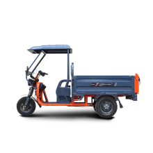 Adult Electric Tricycle: Affordable Electric Golf Trikes and Bikes