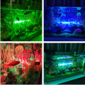 IP67 Submersible RGB Aquarium LED Light