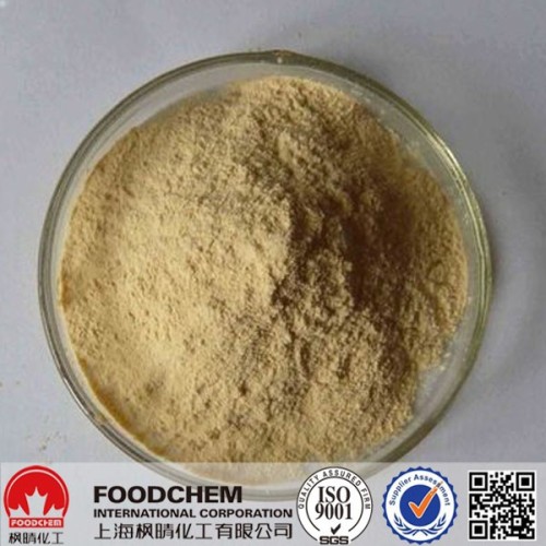 Food Grade/Feed Grade Concentrated Soya protein Soy Protein Concentrate