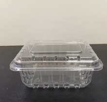 Plastic Blueberry Fruit Clamshell Packaging Box