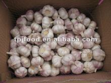 papper carton normal white garlic