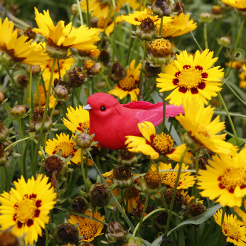 Décoration mini oiseau