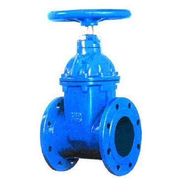 Resilient Seated Gate Valve