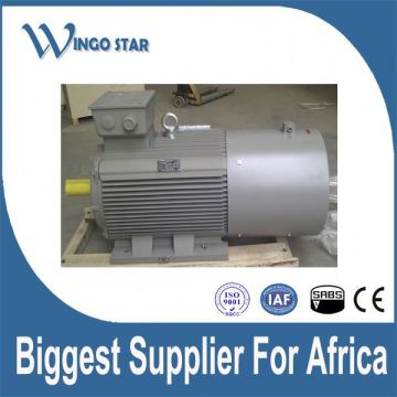 submersible electric motor