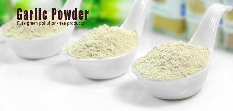 Factory garlic manufacturers garlic powder